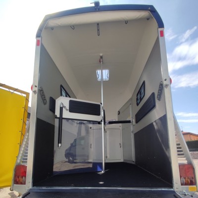 Pronta consegna Trailer trasporto cavalli Boeckmann Portax E PLUS