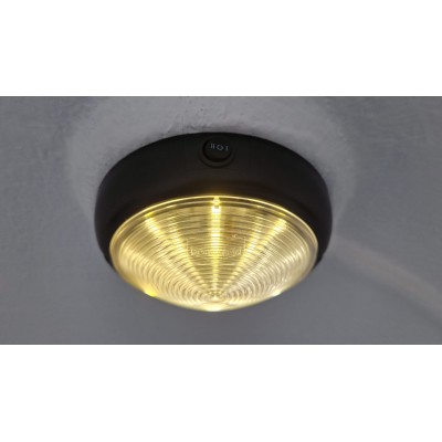 Trailer trasporto cavalli un posto Boeckmann Uno Esprit Silver + Black