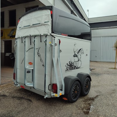 Pronta consegna Champion C Western