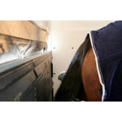 Trailer trasporto cavalli un posto Boeckmann Uno Esprit Silver + Black