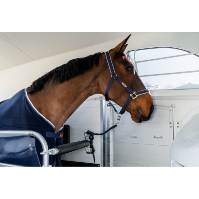 BIG CHAMPION E -WCF- Trailer cavalli
