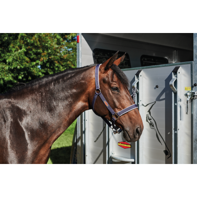 Trailer trasporto cavalli Boeckmann Portax K in Alluminio Due Posti