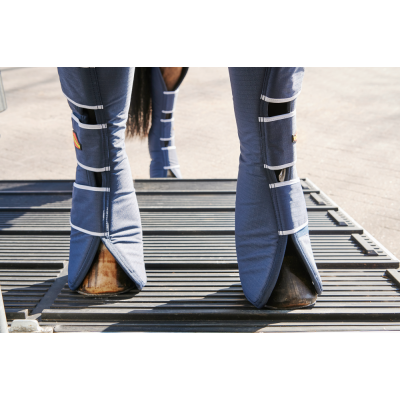 TRAVELLER W2 BIG SK Trailer cavalli