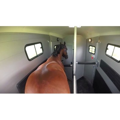 PORTAX LSR Trailer cavalli
