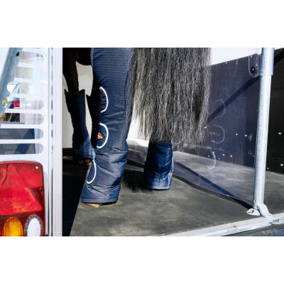 PORTAX LSR Trailer cavalli